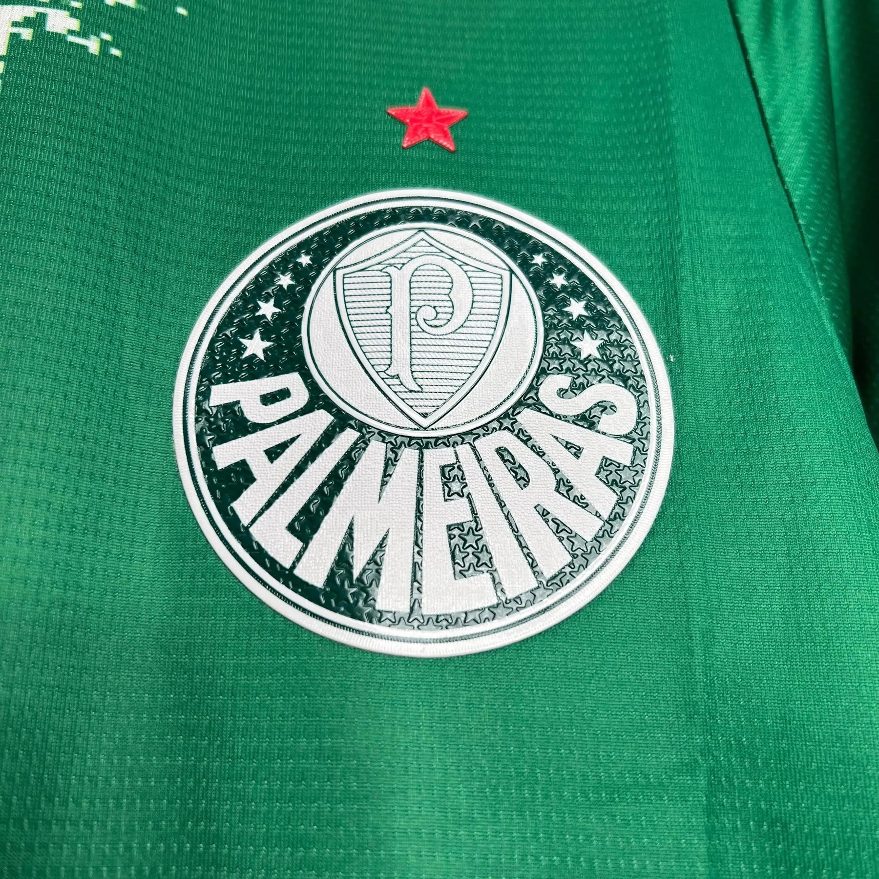 "Camisa Palmeiras Edição Meio Ambiente 24/25 - Torcedor Masculina Manhcada Verde - Netmantos"