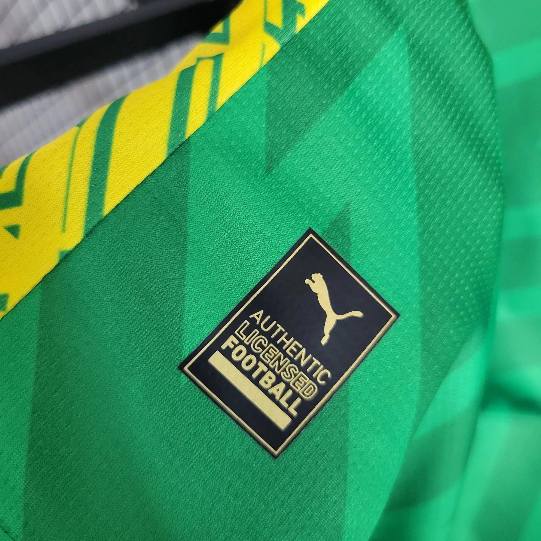 "Camisa Manchester City Goleiro 23/24 - Torcedor Masculina Verde - Netmantos"