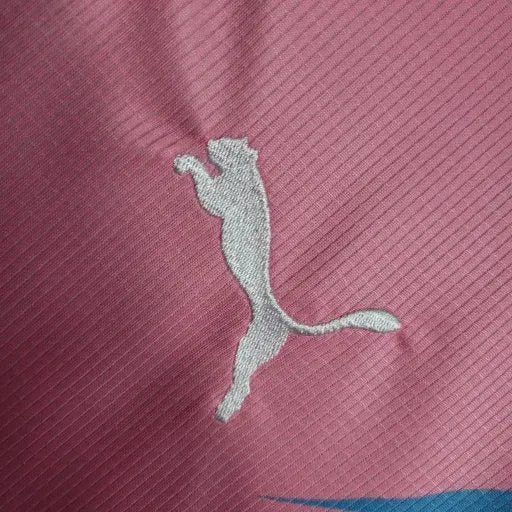 Camisa Palmeiras Edição Comemorativa 23/24 - Torcedor Masculina Azul e Rosa - Netmantos