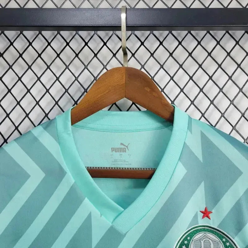 Camisa Palmeiras Goleiro 24/25 - Torcedor Masculina Verde - Netmantos