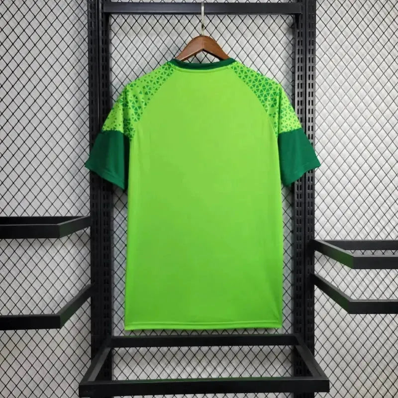 Camisa Palmeiras Treino 24/25 - Torcedor Masculina Verde - Netmantos