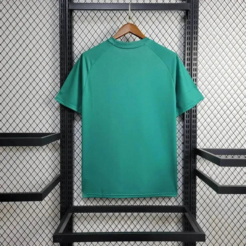 Camisa Palmeiras Treino 24/25 - Torcedor Masculina Verde - Netmantos