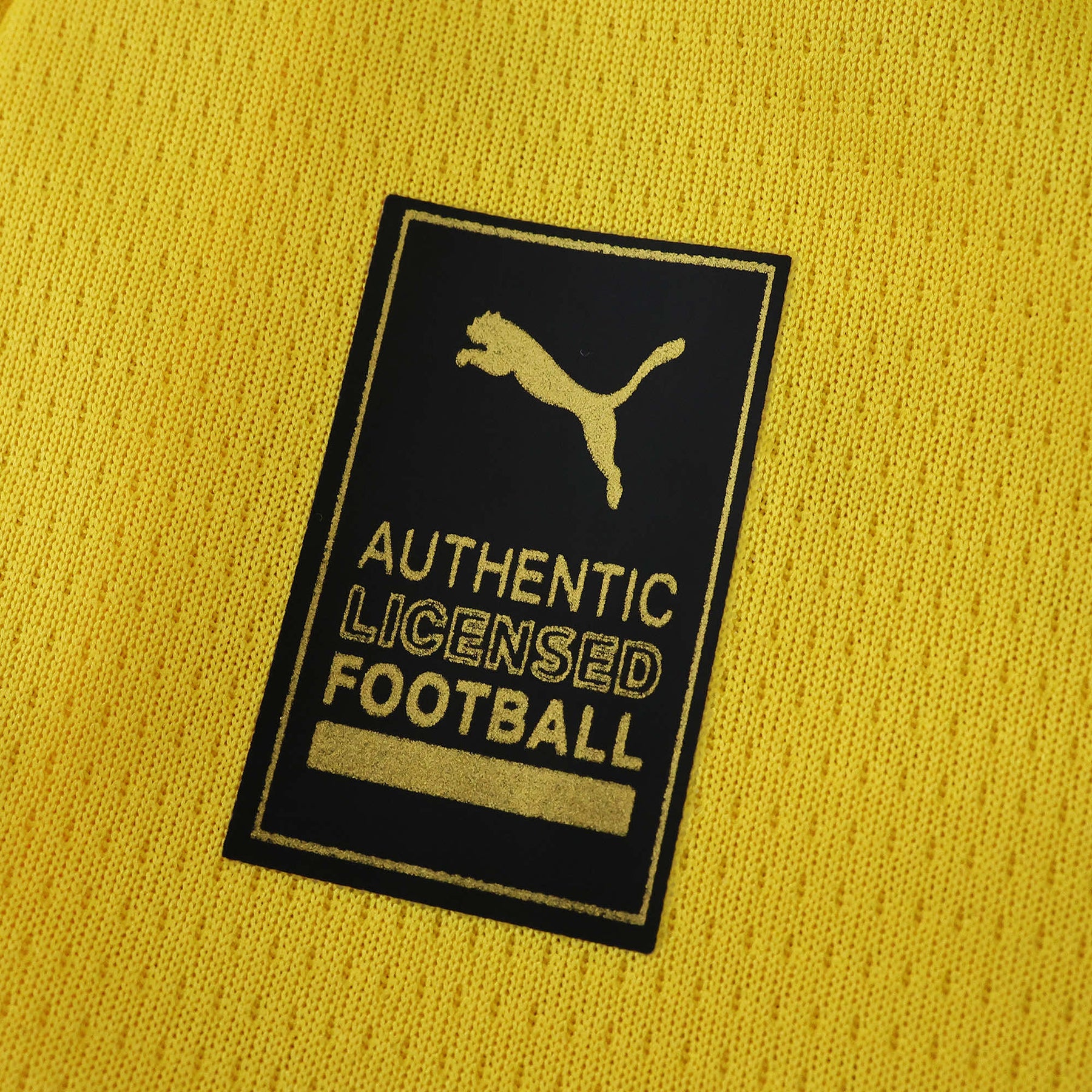 Camisa Borussia Dortmund Home 25/26 - Torcedor Masculina Amarela