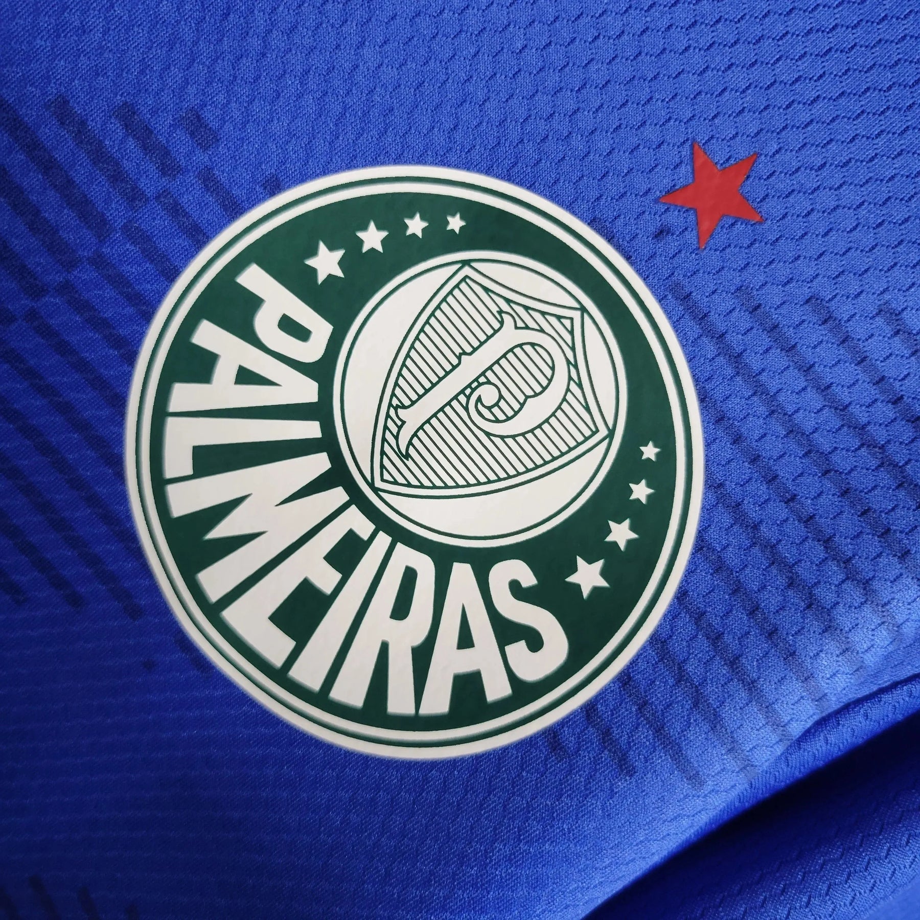 Camisa Palmeiras Goleiro 23/24 - Torcedor Masculina Azul - Netmantos