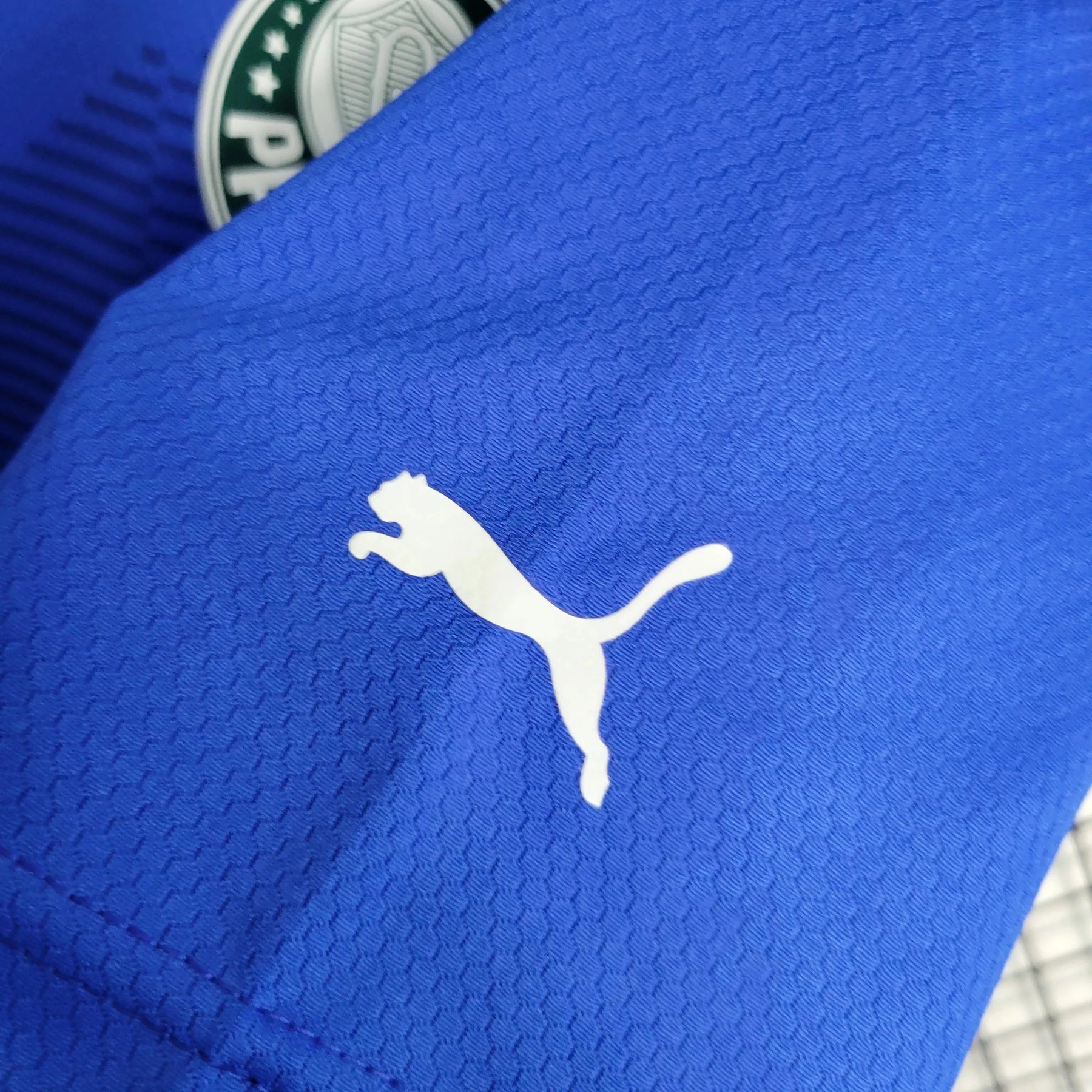 Camisa Palmeiras Goleiro 23/24 - Torcedor Masculina Azul - Netmantos