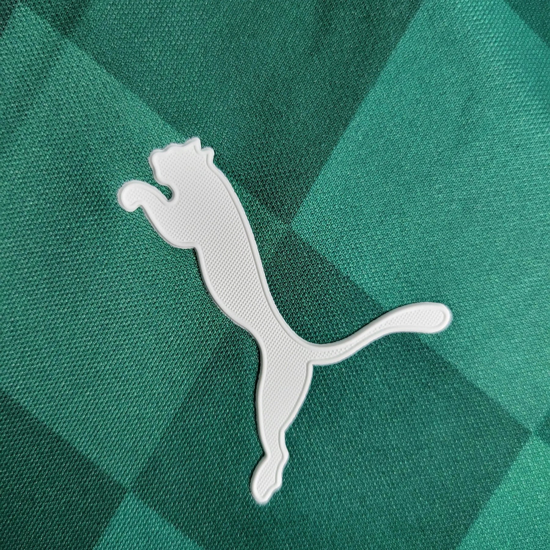 Camisa Palmeiras Home 21/22 - Torcedor Masculina - Netmantos