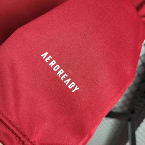 "Camisa Sport Club Internacional Treino 24/25 - Torcedor Masculina Vermelha - Netmantos"