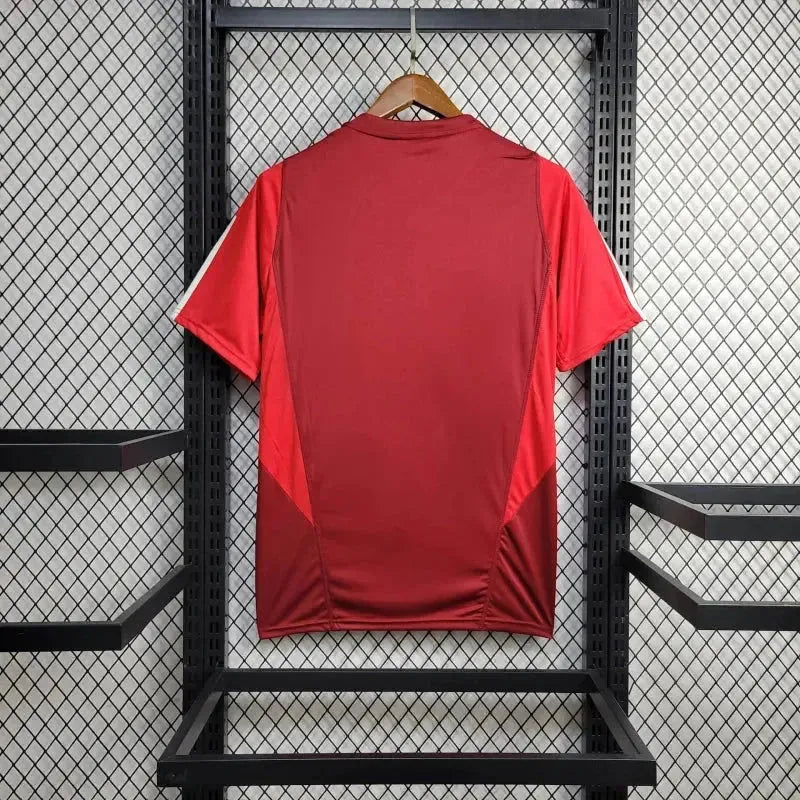 "Camisa Sport Club Internacional Treino 24/25 - Torcedor Masculina Vermelha - Netmantos"
