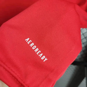 "Camisa Sport Club Internacional Treino 24/25 - Torcedor Masculina Vermelha - Netmantos"