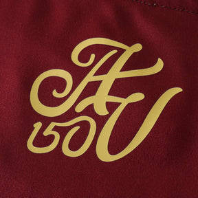 Camisa Aston Home 24/25 - Torcedor Masculina
